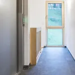 Am Dollenberg Apartmán *